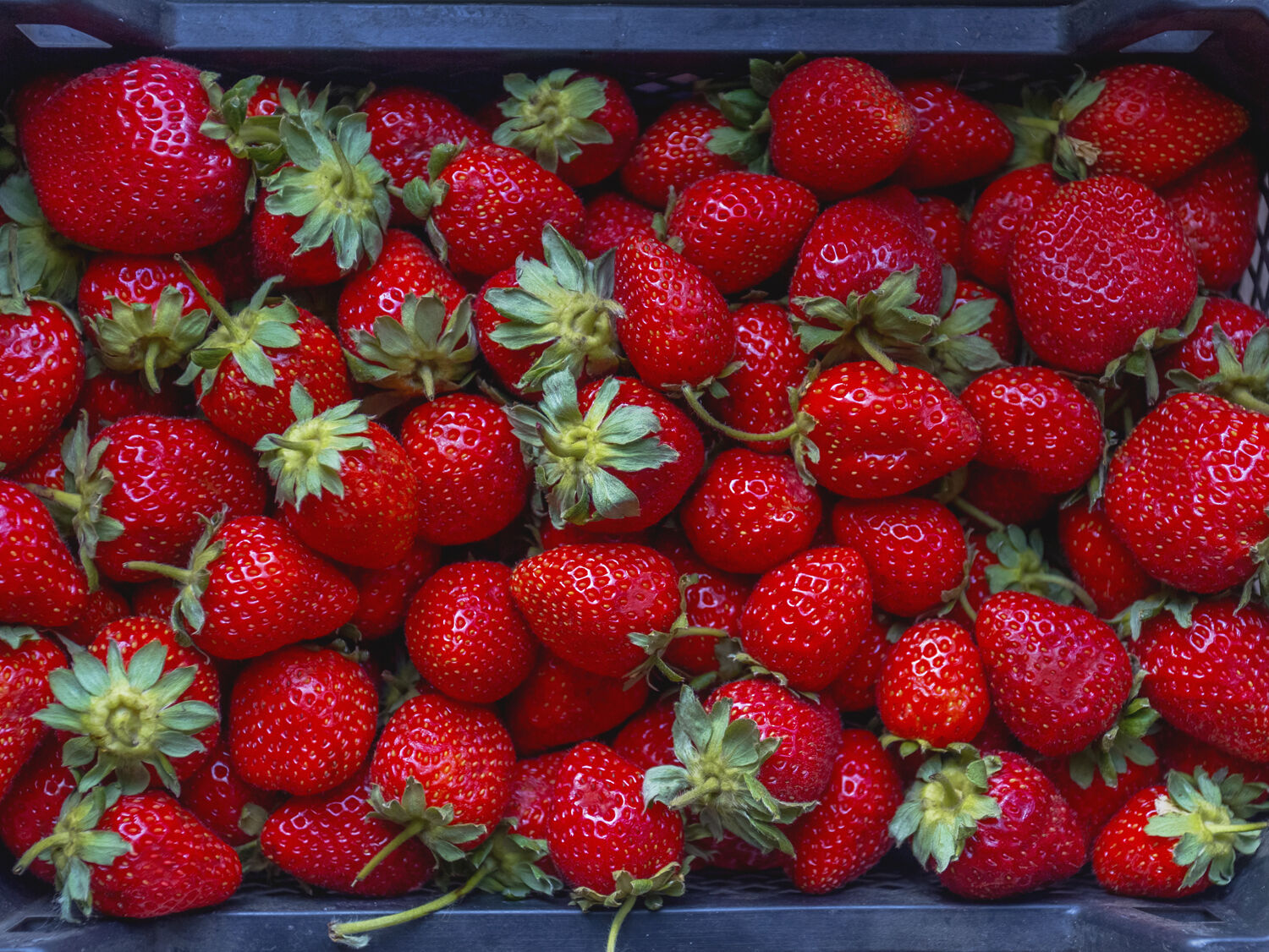 Strawberries
